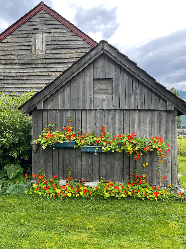 Naves, locales y terrenos por Foto Sabadell